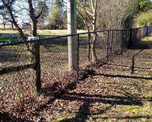 chain-link fence 